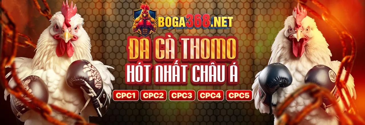 Banner khuyến mãi độc quyền 55mom